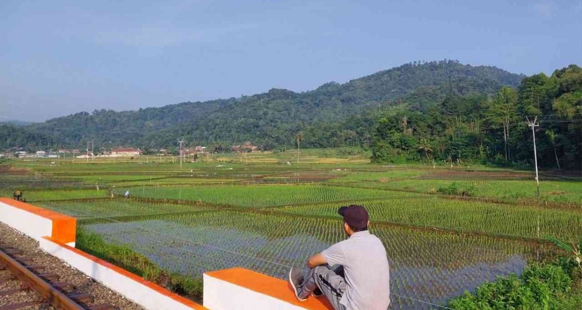 Rindu Kampung Halaman: Kenangan Yang Tak Pernah Hilang