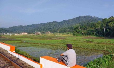 Rindu Kampung Halaman: Kenangan Yang Tak Pernah Hilang