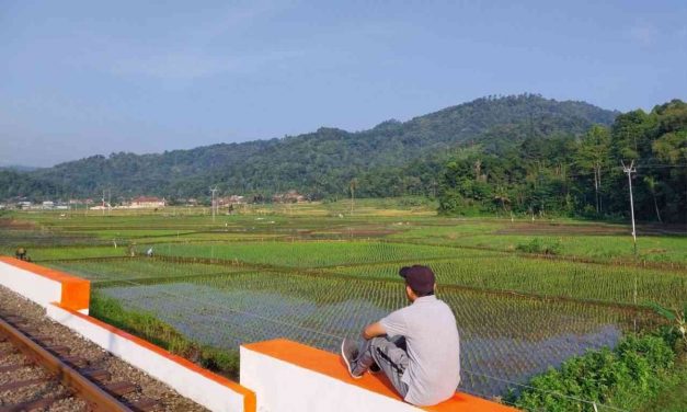 Rindu Kampung Halaman: Kenangan Yang Tak Pernah Hilang