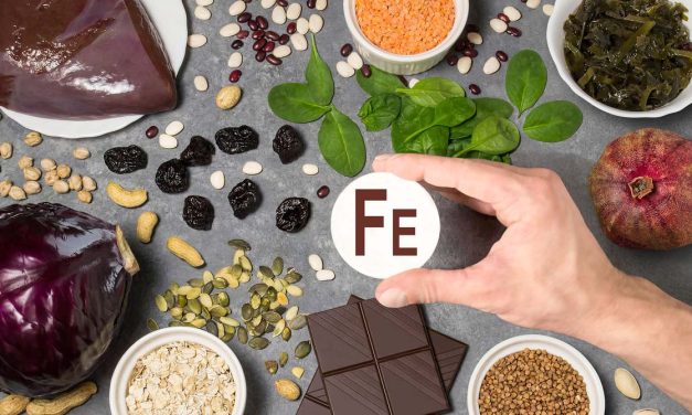 Besi Dan Kesehatan: Peran Mineral Besi Dalam Tubuh