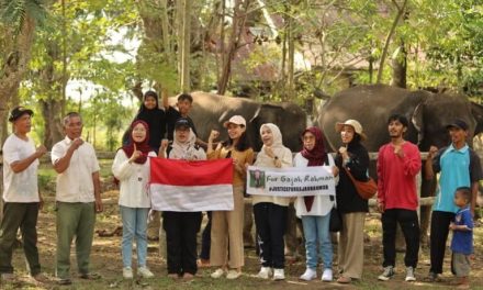 Gajah Rahman: Simbol Harmoni Antara Alam Dan Manusia