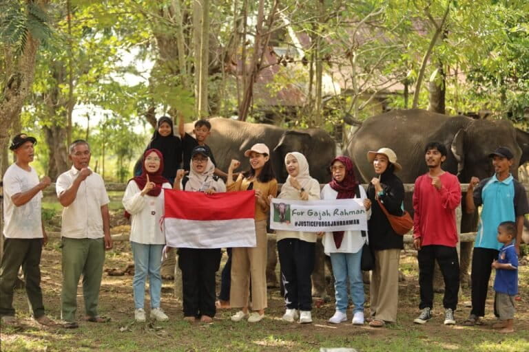 Gajah Rahman: Simbol Harmoni Antara Alam Dan Manusia