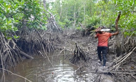 Kerusakan Alam Indonesia: Hutan Hilang, Masa Depan Terancam