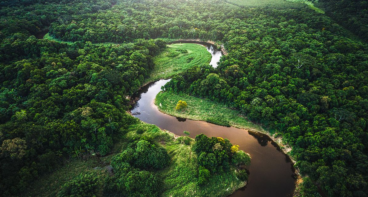 Keindahan Sungai Amazon: Hutan Hujan Terbesar Di Dunia