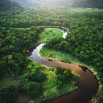 Keindahan Sungai Amazon: Hutan Hujan Terbesar Di Dunia