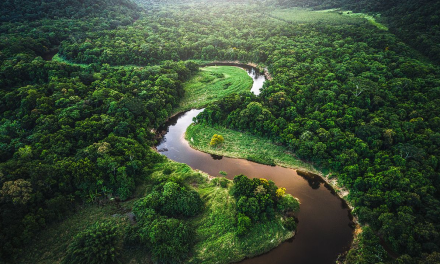 Keindahan Sungai Amazon: Hutan Hujan Terbesar Di Dunia