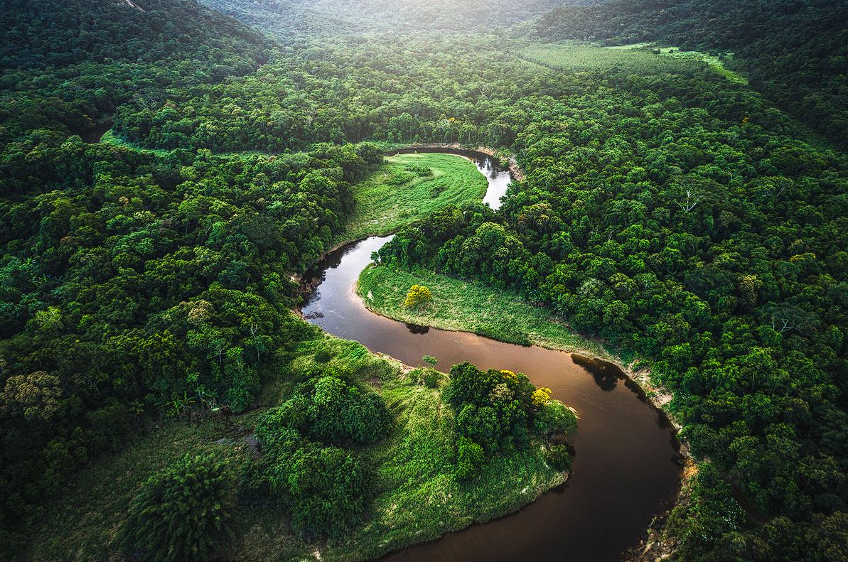 Keindahan Sungai Amazon: Hutan Hujan Terbesar Di Dunia
