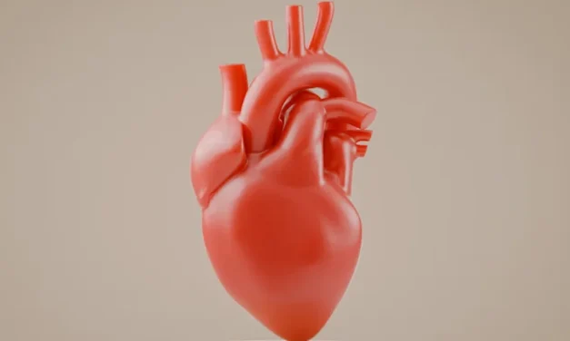Jantung Sehat: Kebiasaan Membantu Menjaga Fungsi Organ Vital