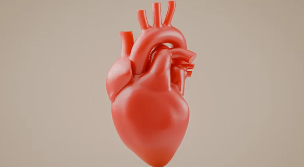 Jantung Sehat: Kebiasaan Membantu Menjaga Fungsi Organ Vital