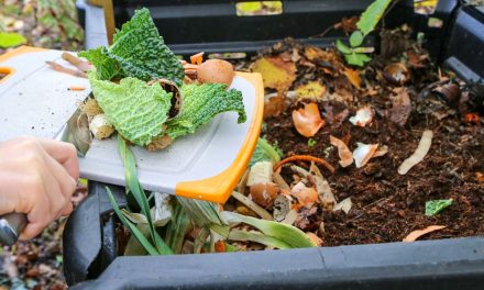 Kompos Sampah Organik: Memanfaatkan Limbah Rumah Tangga
