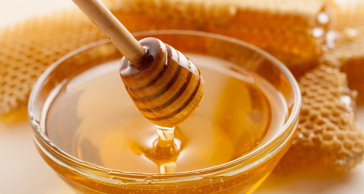 Madu Dalam Kehidupan: Mengenal Produk Alami Dari Lebah