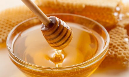 Madu Dalam Kehidupan: Mengenal Produk Alami Dari Lebah