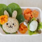 Makanan Bekal Anak: Menyiapkan Menu Praktis Dan Bernutrisi