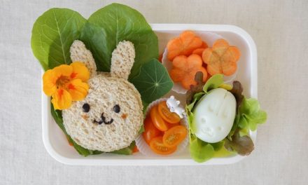 Makanan Bekal Anak: Menyiapkan Menu Praktis Dan Bernutrisi